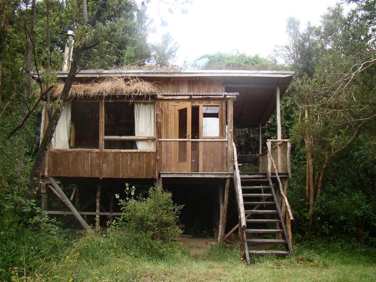 Puelo Siempreverde Puelo River Exterior foto